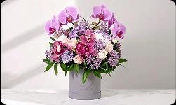Send Orchids to India